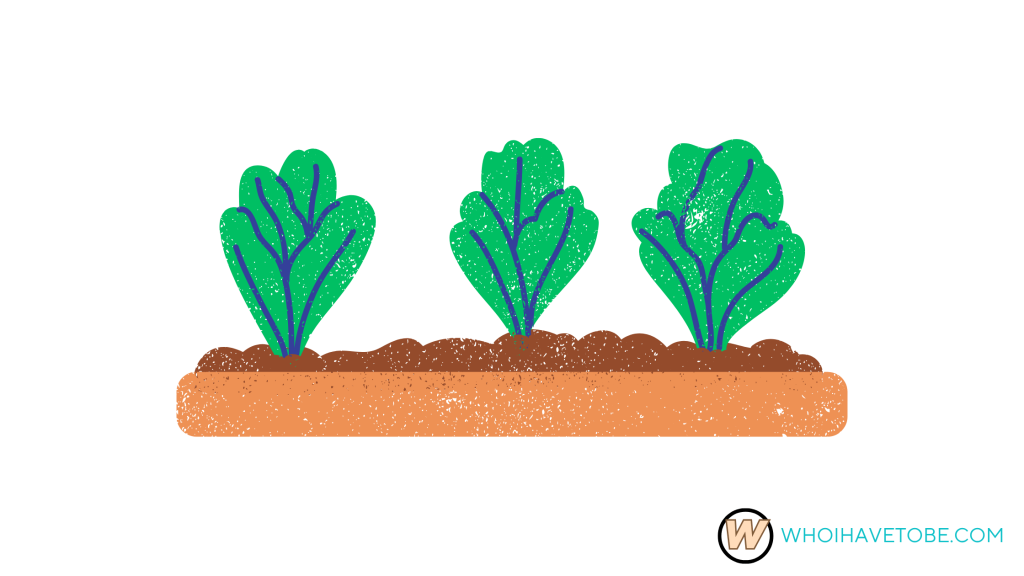 Smart Grow a Garden Hacks Most Players Don’t Know