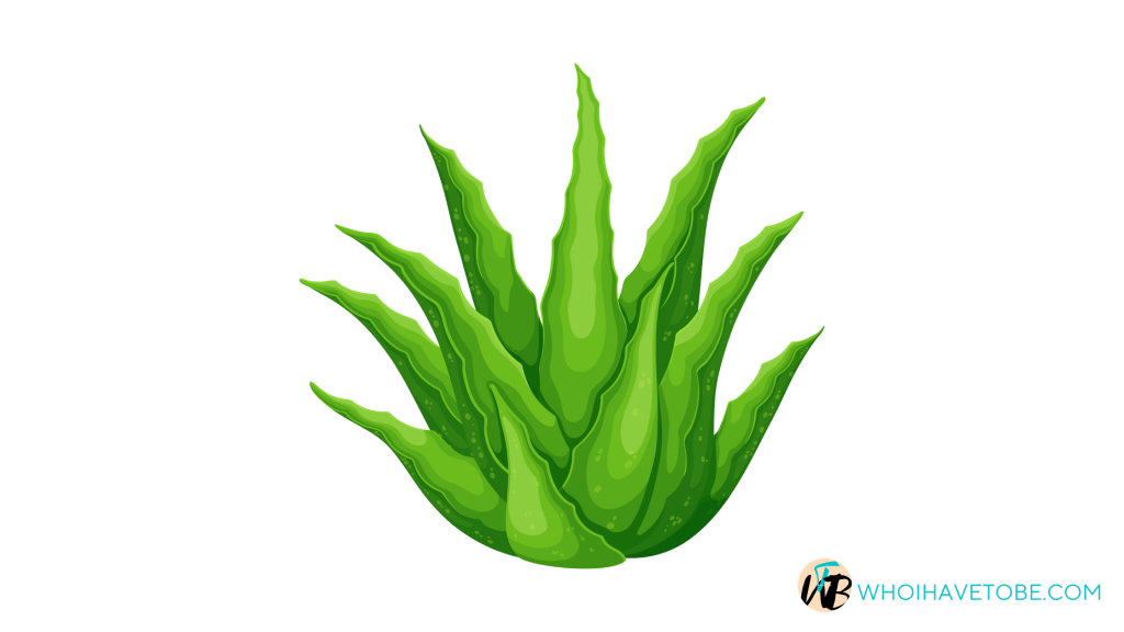 grow-a-garden-aloe-vera-wiki