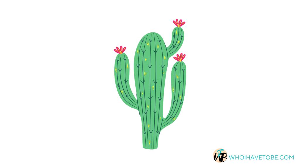 cactus-grow-a-garden