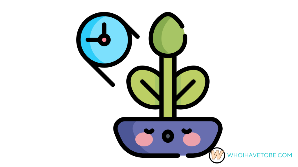 Grow a Garden Update Countdown Guide