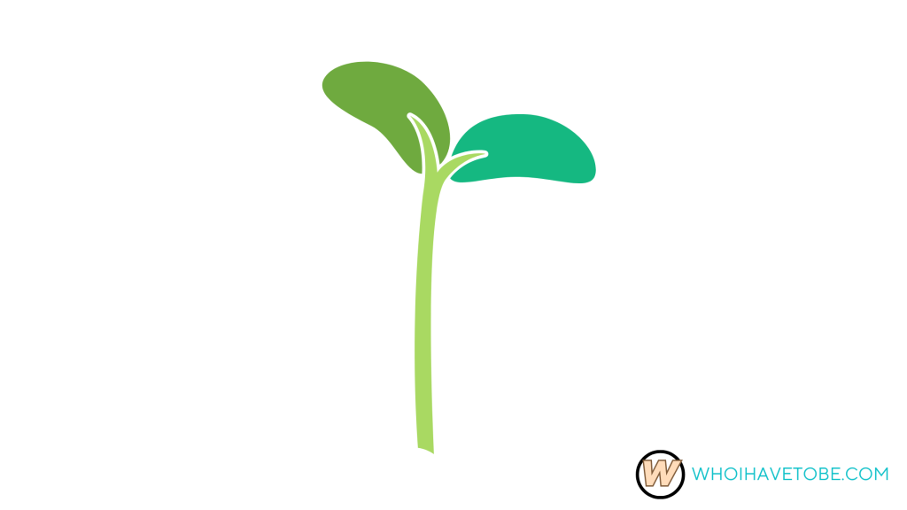 How to Harvest a Burning Bud or Burning Beanstalk