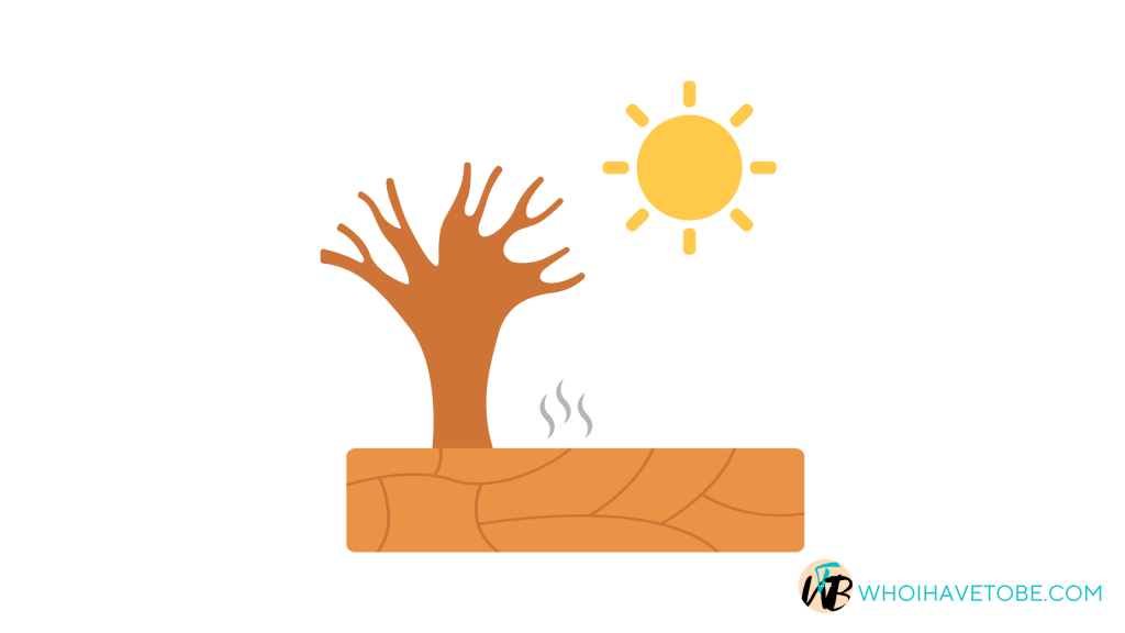 sundried-mutation-multiplier-grow-a-garden-wiki