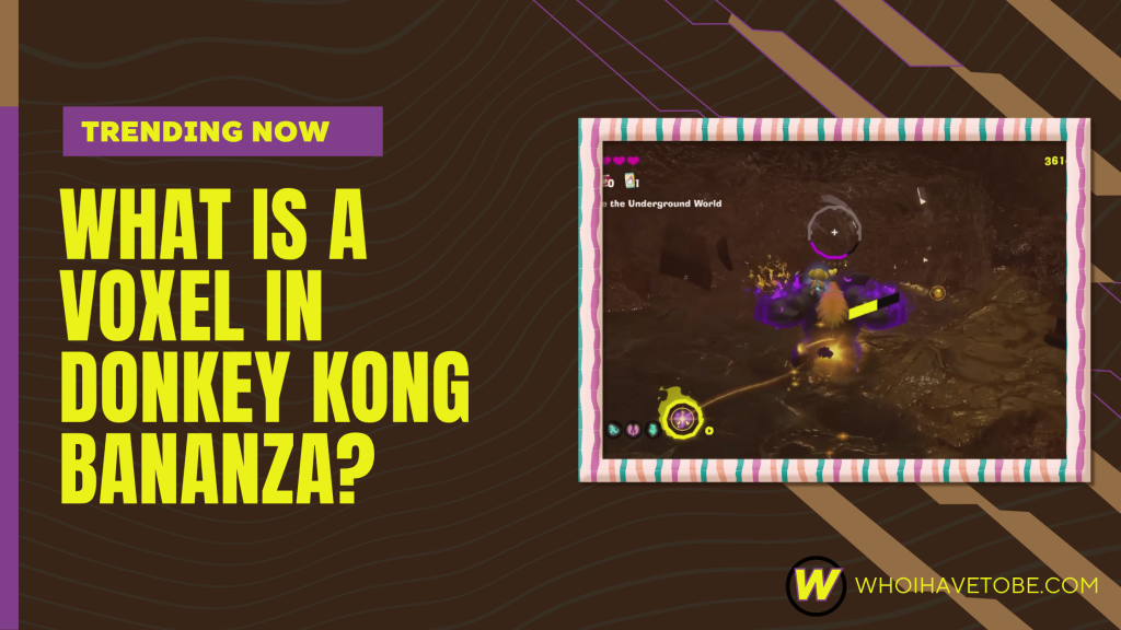 Voxel meaning in Donkey Kong Bananza